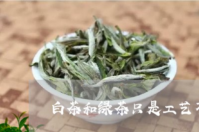 白茶和绿茶只是工艺不同吗/2023041137159