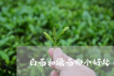 白茶和绿茶哪个好处多一些/2023041495071