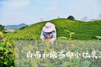 白茶和绿茶哪个抗衰老最好/2023041414035