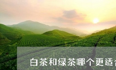 白茶和绿茶哪个更适合男人/2023041174847