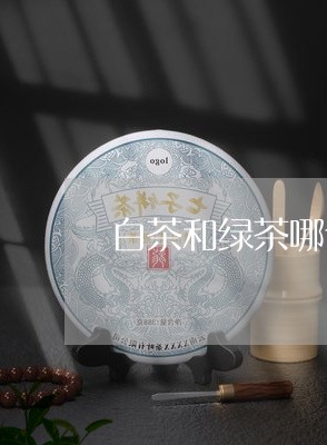 白茶和绿茶哪个泡茶比较好/2023041136351