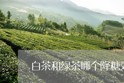 白茶和绿茶哪个降糖效果好/2023041128372