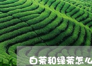 白茶和绿茶怎么区别和功效/2023041160824