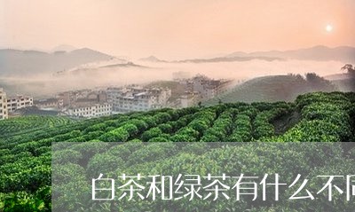 白茶和绿茶有什么不同功效/2023041160814