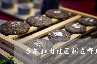 白茶和肉桂区别在哪儿图片/2023041476151