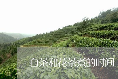 白茶和花茶煮的时间一样吗/2023041462934