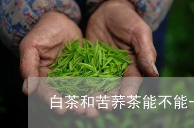 白茶和苦荞茶能不能一起喝/2023041438473