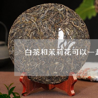 白茶和茉莉花可以一起泡吗/2023041408260