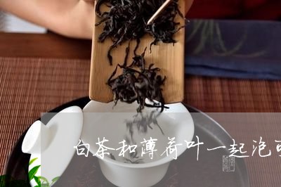 白茶和薄荷叶一起泡可以吗/2023041152505