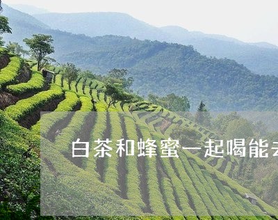 白茶和蜂蜜一起喝能去火吗/2023041163827