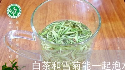 白茶和雪菊能一起泡水喝么/2023041171604