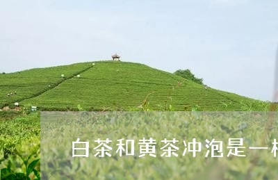 白茶和黄茶冲泡是一样的吗/2023041115257