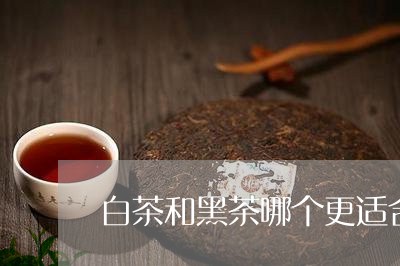 白茶和黑茶哪个更适合送人/2023041117391