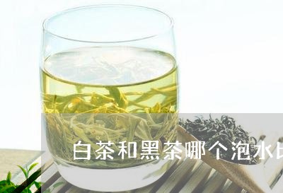 白茶和黑茶哪个泡水比较好/2023041192960