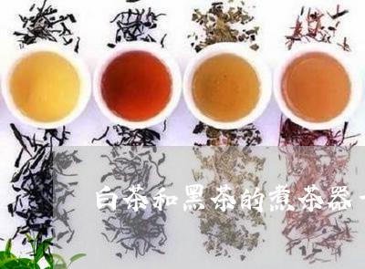 白茶和黑茶的煮茶器一样吗/2023041185048