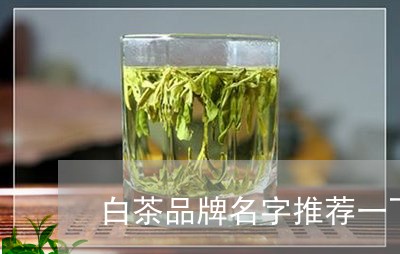 白茶品牌名字推荐一下大全/2023041471591