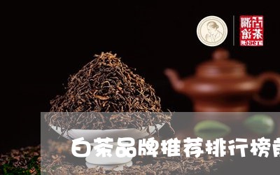 白茶品牌推荐排行榜前十名/2023041113046