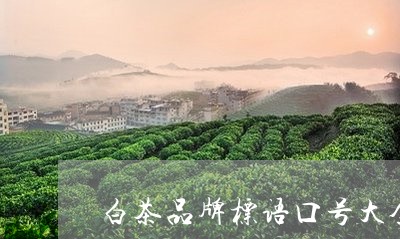 白茶品牌标语口号大全图片/2023041140403