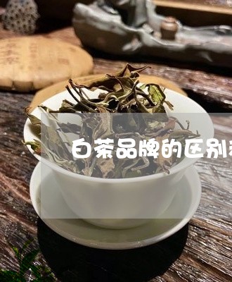 白茶品牌的区别和联系方式/2023041140704