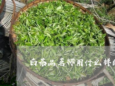 白茶品茗杯用什么样的杯托/2023041483736