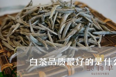 白茶品质最好的是什么季节/2023041484838