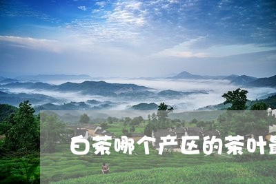 白茶哪个产区的茶叶最好卖/2023041178460