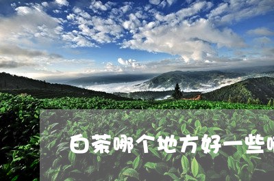 白茶哪个地方好一些啊/2023041100504