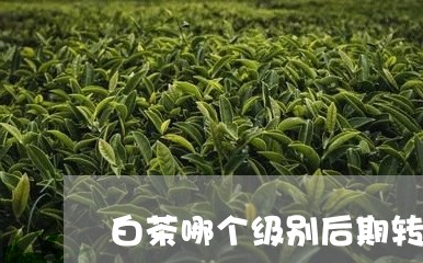 白茶哪个级别后期转换最好/2023041108692