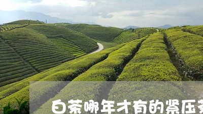 白茶哪年才有的紧压茶包装/2023041462597