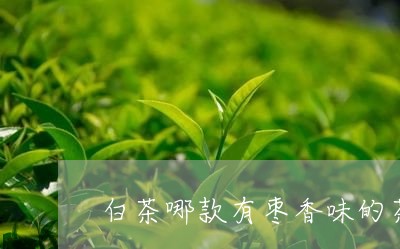 白茶哪款有枣香味的茶好喝/2023041111514