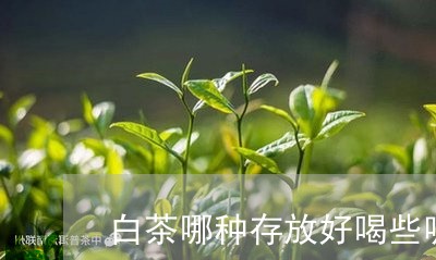 白茶哪种存放好喝些呢图片/2023041148272