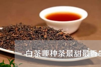 白茶哪种茶最甜最香的品牌/2023041195270