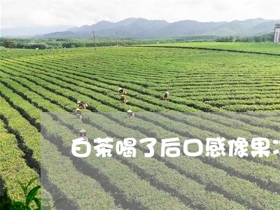 白茶喝了后口感像果冻一样/2023041127460