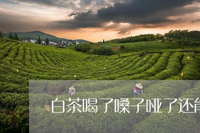 白茶喝了嗓子哑了还能喝吗/2023041483036