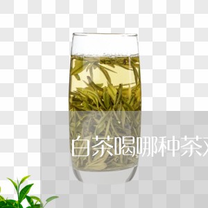 白茶喝哪种茶对身体有好处/2023041014248