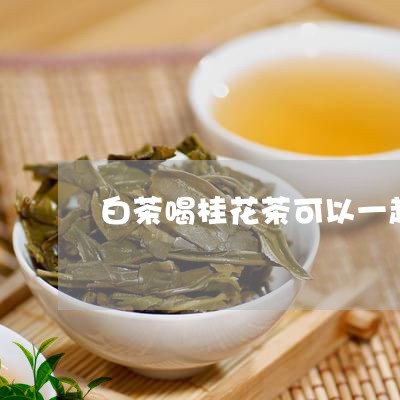 白茶喝桂花茶可以一起煮吗/2023041069312