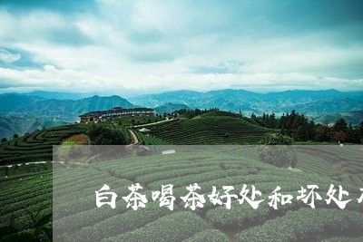 白茶喝茶好处和坏处有哪些/2023041044053