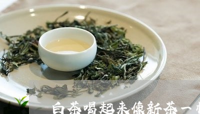 白茶喝起来像新茶一样的茶/2023041084925