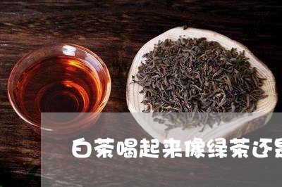 白茶喝起来像绿茶还是红茶/2023041495046