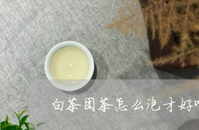 白茶团茶怎么泡才好喝视频/2023041093617