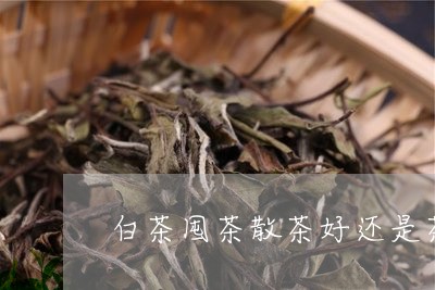 白茶囤茶散茶好还是茶饼好/2023041309483