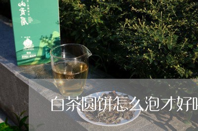 白茶圆饼怎么泡才好喝视频/2023041007058