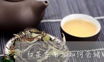 白茶在南方如何仓储的保存/2023041045937