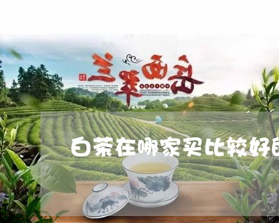 白茶在哪家买比较好的产品/2023041008203