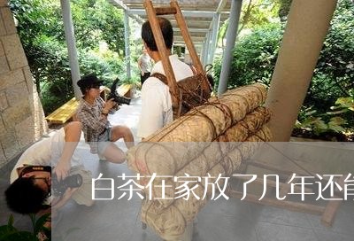 白茶在家放了几年还能喝吗/2023041307258