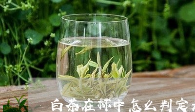 白茶在杯中怎么判定是好茶/2023041326268