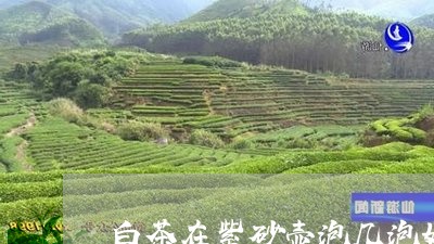 白茶在紫砂壶泡几泡好一点/2023041025179