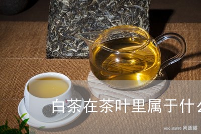 白茶在茶叶里属于什么品种/2023041009493