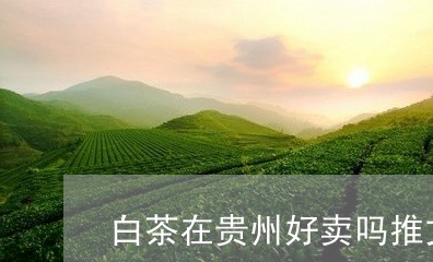 白茶在贵州好卖吗推文/2023041015929