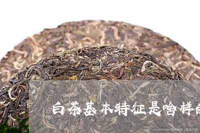 白茶基本特征是啥样的茶叶/2023041471704